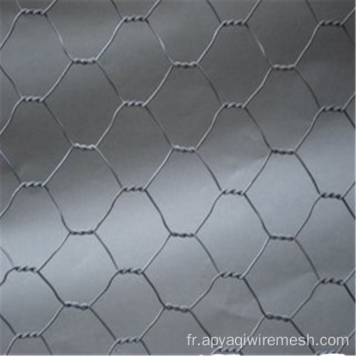 Fil Hexagonal Mesh / filet pour le fil de poulet galvanisé